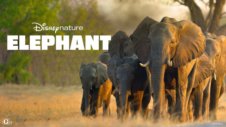 In the Footsteps of Elephant still 5
