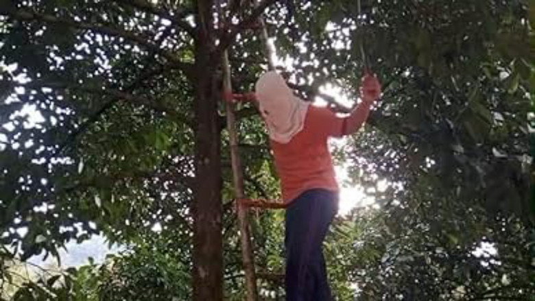 The handsaw murder resurrection still 1