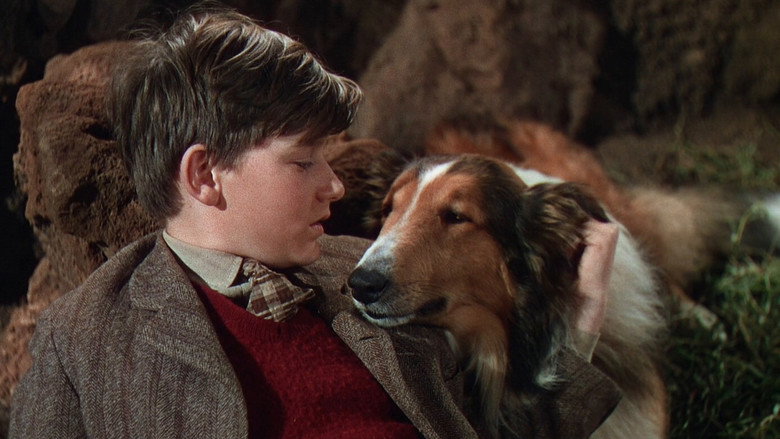 Lassie Come Home still 1