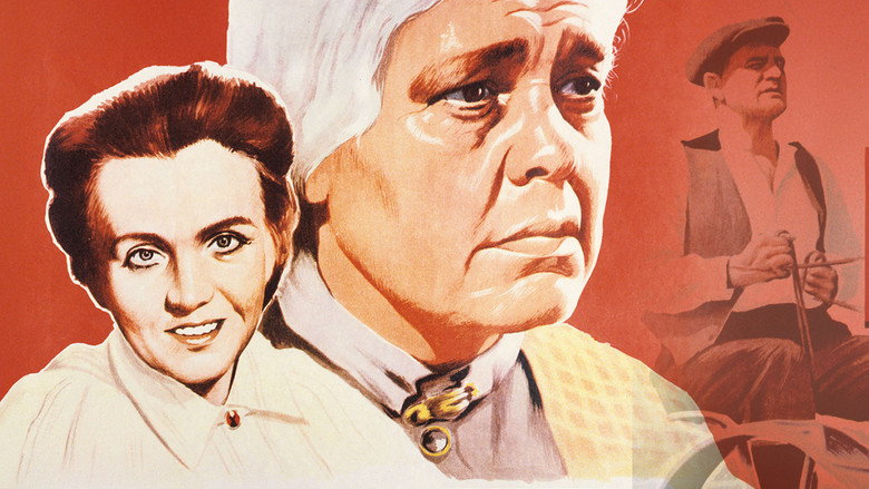 Niskavuori taistelee still 1