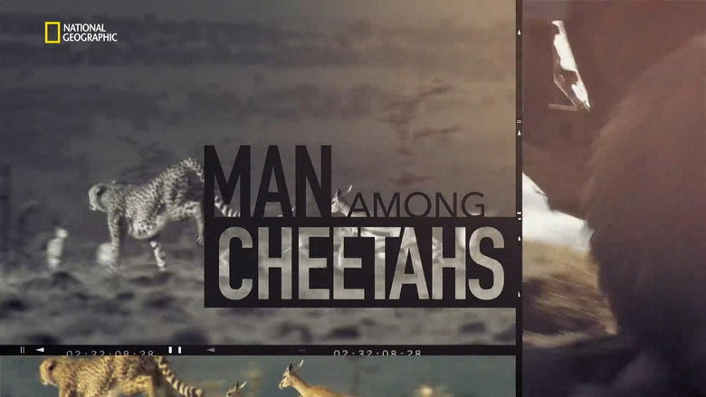 Man Among Cheetahs still 2