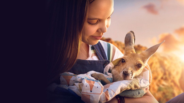 Kangaroo still 7
