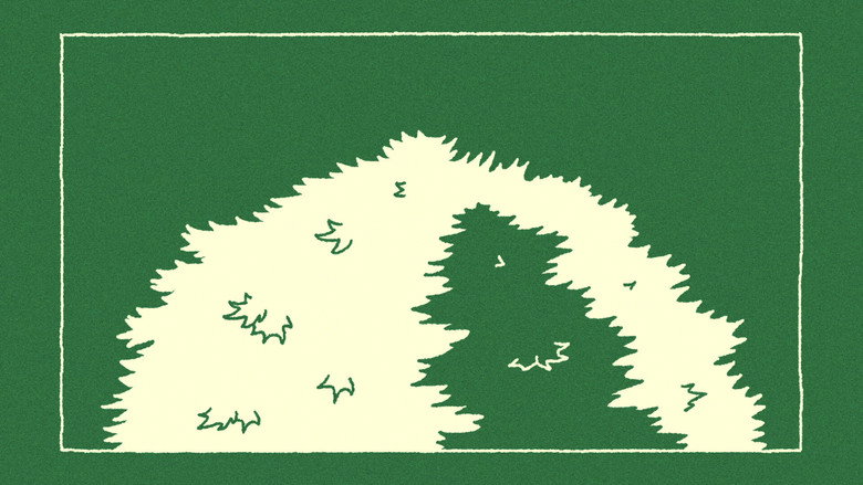 The Sycamore still 1