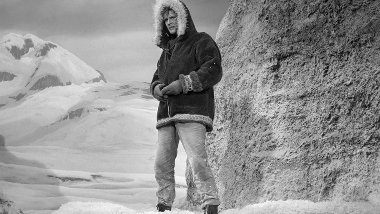 The Alaskans still 6