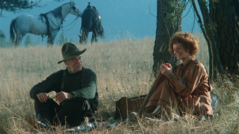 The Grey Fox still 7