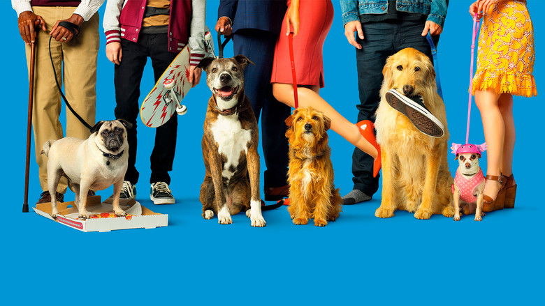 Dog Days still 1