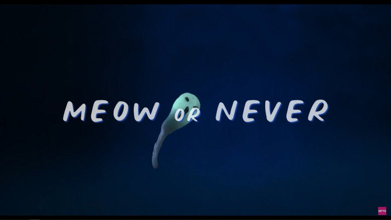 Meow or Never still 2