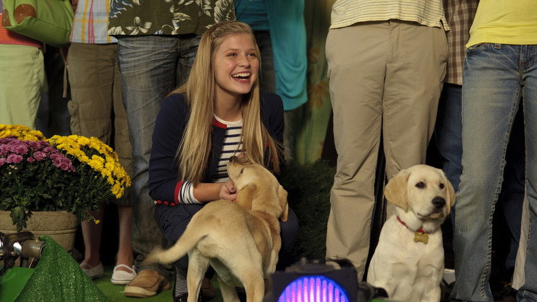 Marley & Me: The Puppy Years still 4