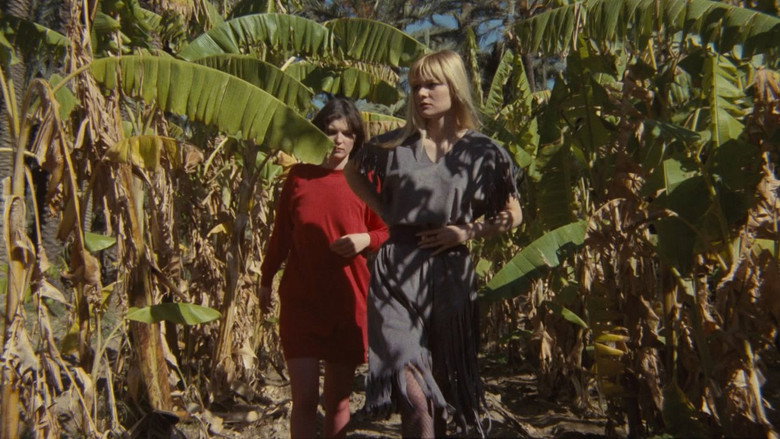 Police Destination Oasis still 2