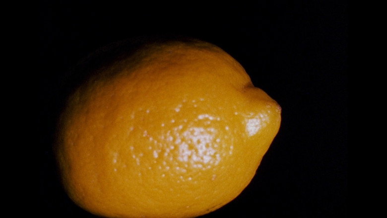 Lemon still 1
