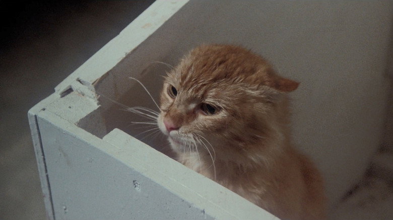 Uninvited still 3