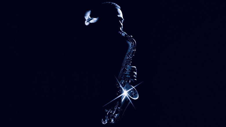 Bird still 6