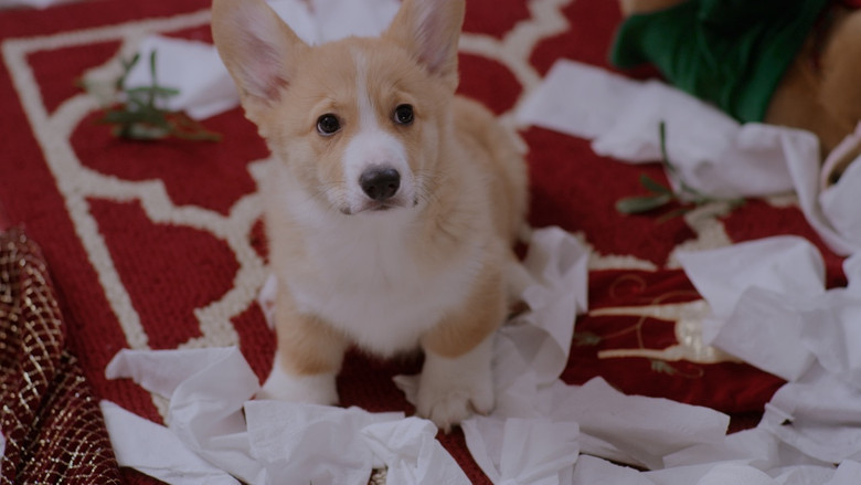 A Very Corgi Christmas still 3