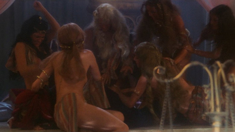 The Sword and the Sorcerer still 8