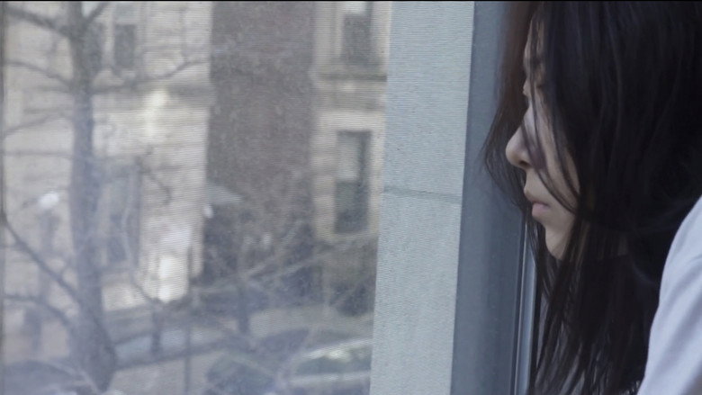 ULIM still 1