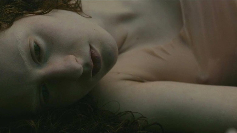 Evolution still 8