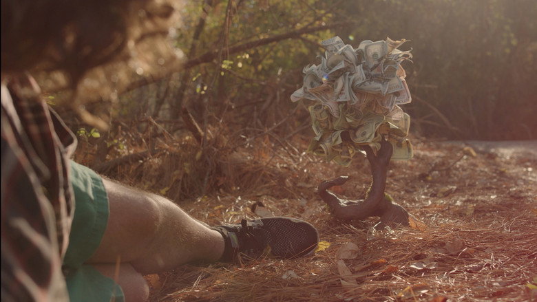 Money Tree still 3