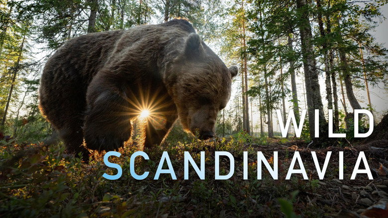 Wild Scandinavia still 3