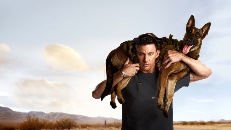 Dog still 8