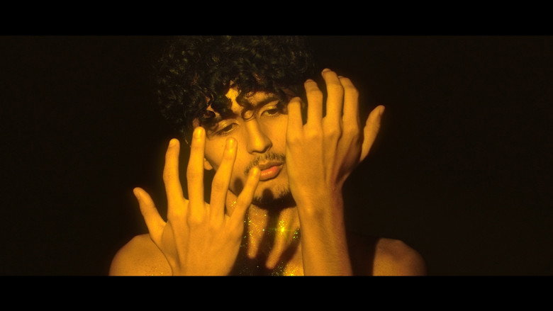 Las estrellas son de colores still 4