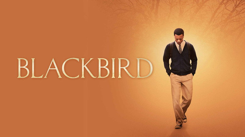 Blackbird still 3