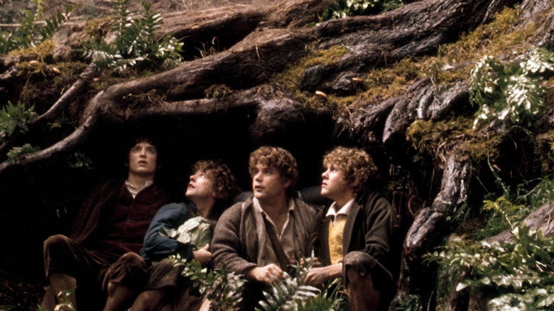 The Lord of the Rings: The Fellowship of the Ring still 3