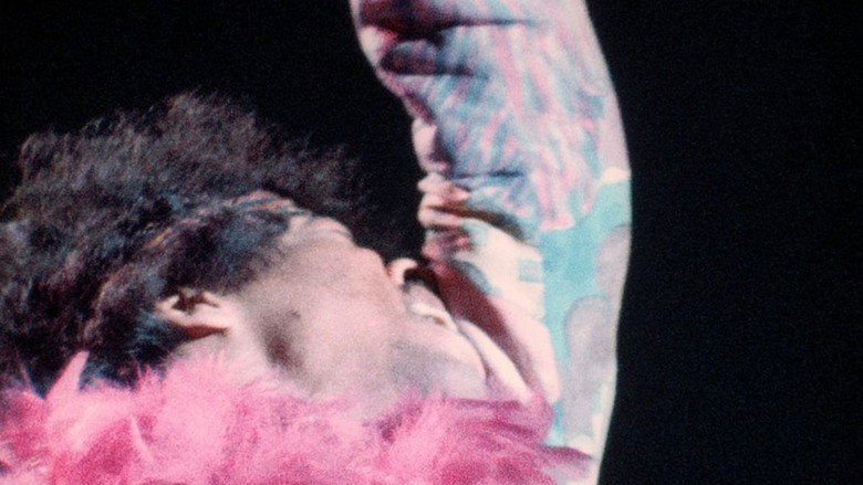 Monterey Pop still 7