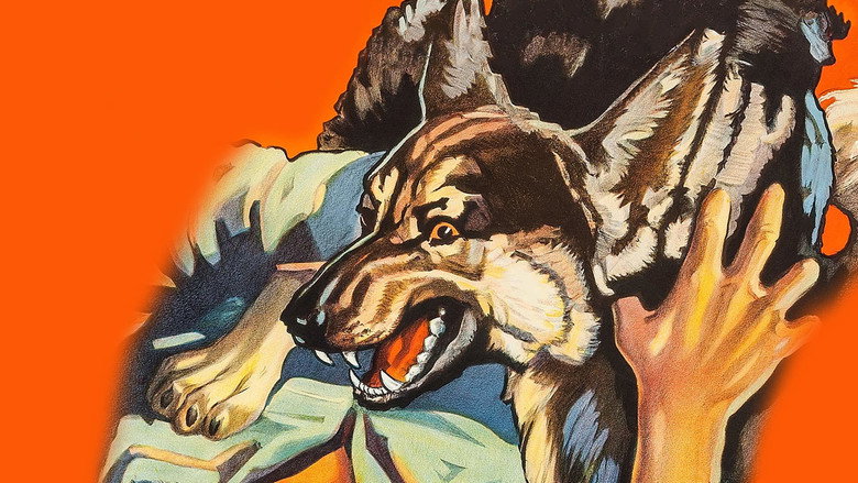 Ferocious Pal still 1