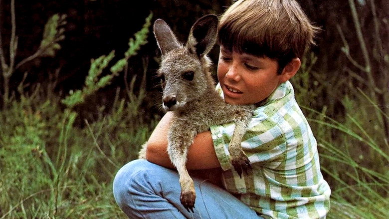 Skippy the Bush Kangaroo still 2