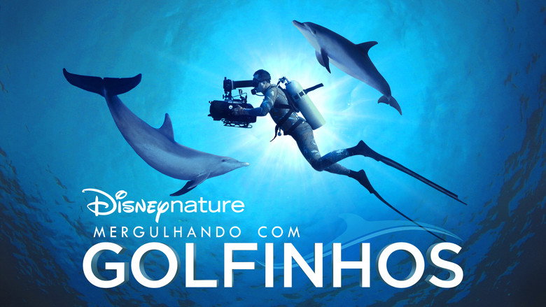 Diving with Dolphins still 4