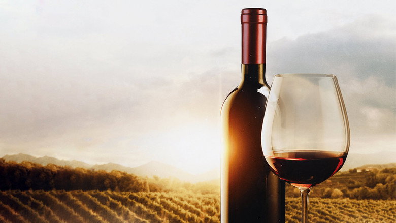 The Mostly Serious History of Wine still 1