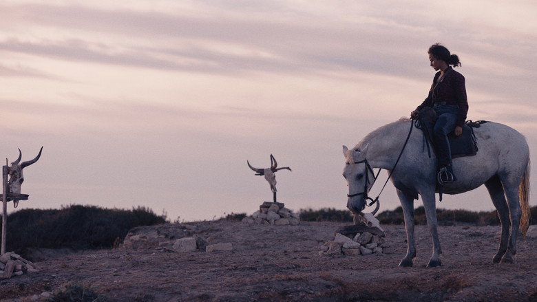 Animale still 6