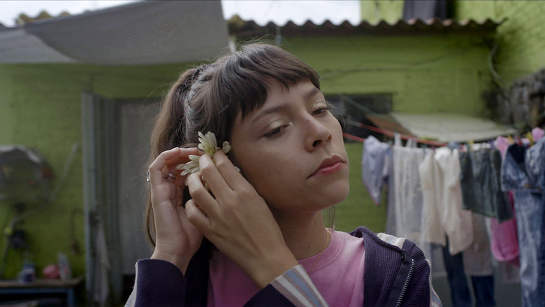 Diabla still 2