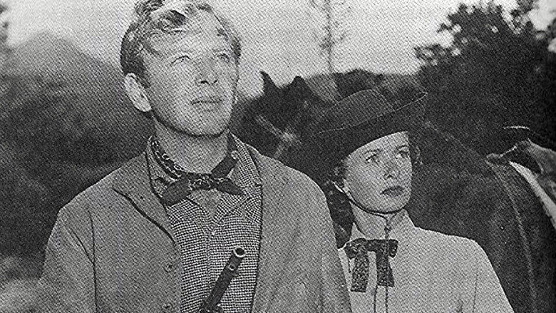 Montana Incident still 1