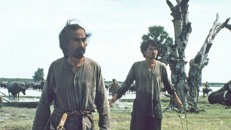 Buffalo Boy still 3