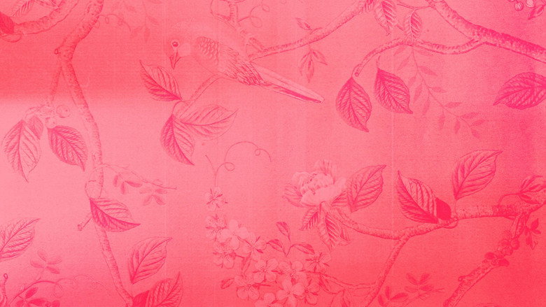 Púa still 4