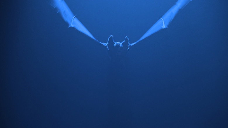 Batman Forever still 8