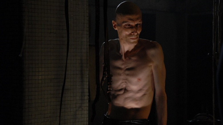 Shadow still 1