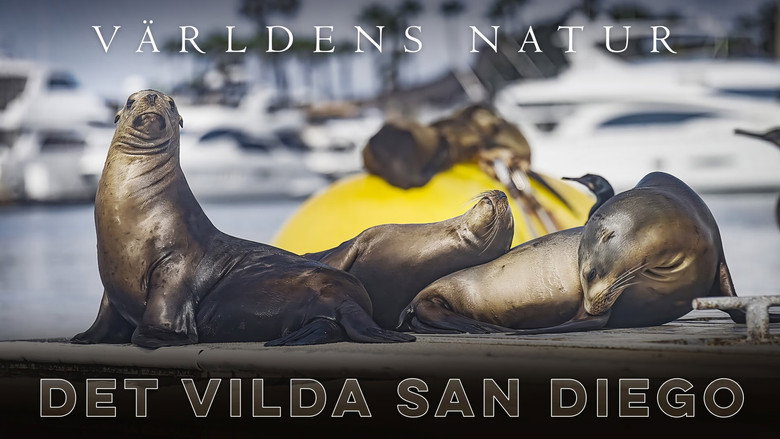 San Diego: America's Wildest City still 3