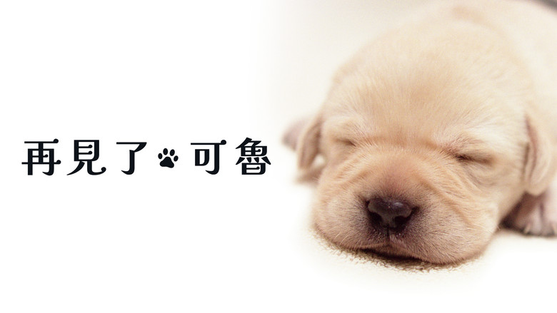 Quill: The Life of a Guide Dog still 5