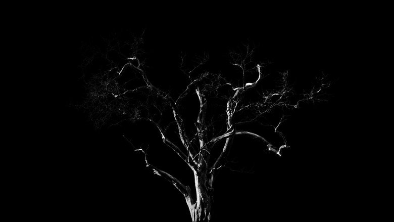 Dreams, Confessions and The End Of The World still 2