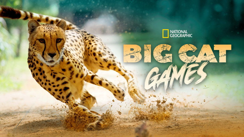 Big Cat Games still 1