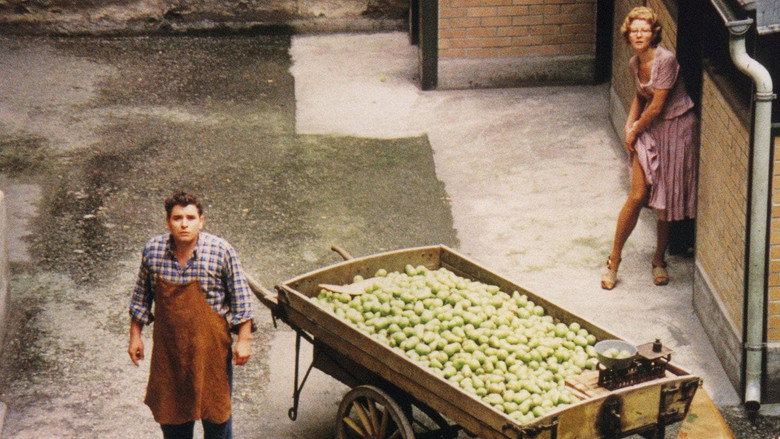 The Merchant of Four Seasons still 1