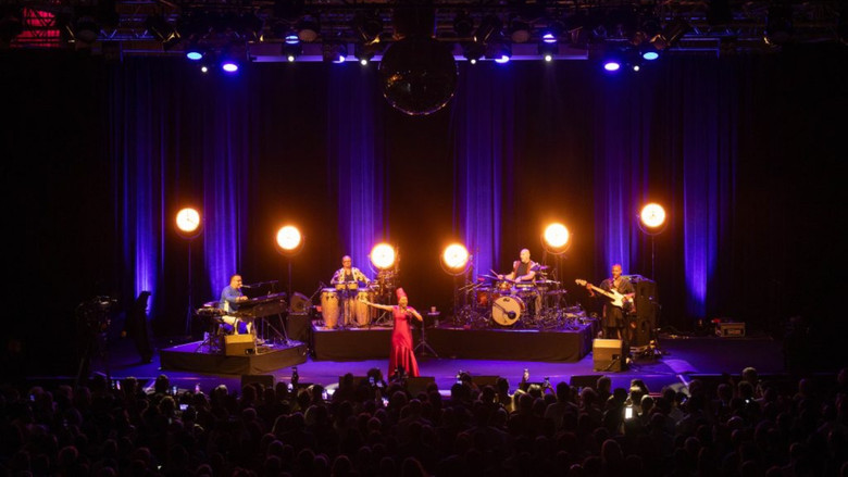 Angélique Kidjo : 40 ans de carrière still 5