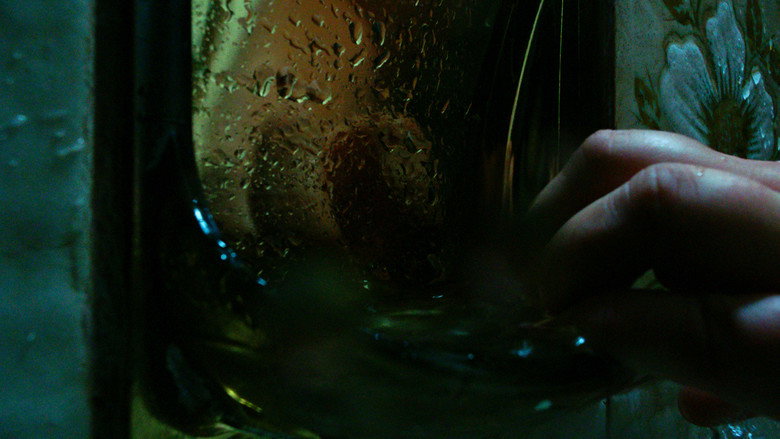 Within my soul still 5