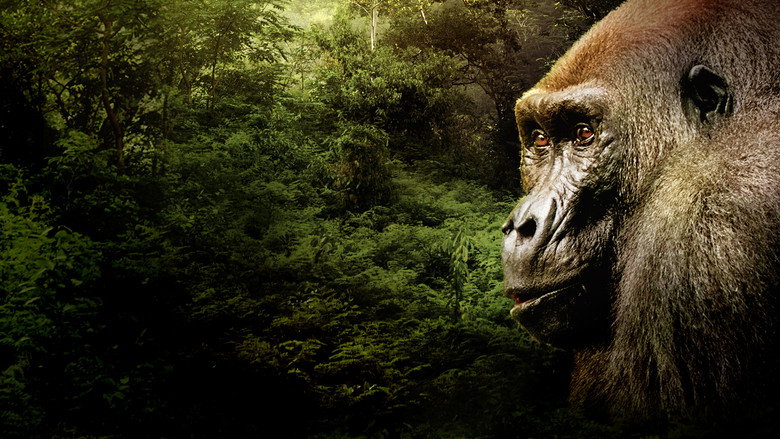 Gorillas Close Up still 1