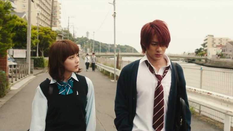 Honey still 2